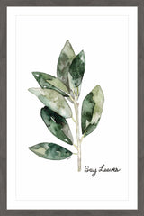 Herb Bay Leaves