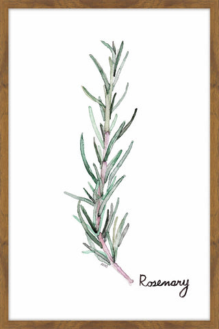 Herb Rosemary