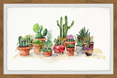 Potted Plants