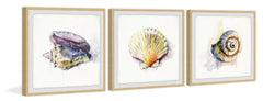 Sea Buddies Triptych