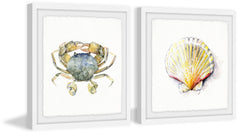 Crab and Sea Shell Diptych