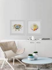 Crab and Sea Shell Diptych