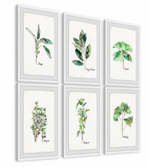 Herb Family II Hexaptych