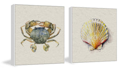 Crab and Sea Shell II Diptych