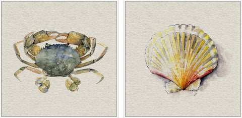 Crab and Sea Shell II Diptych