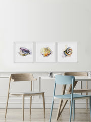 Sea Buddies Triptych