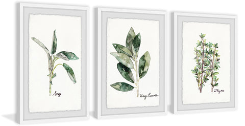 Herb Trio Triptych