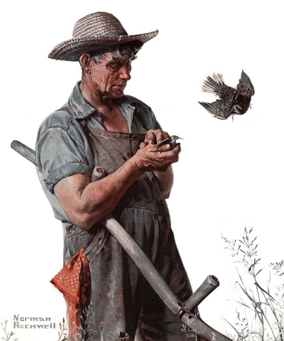 Farmer and the Bird