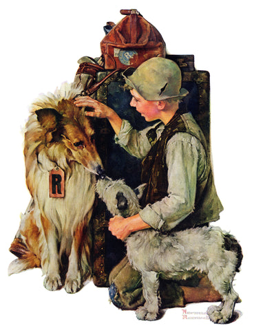 Raleigh Rockwell