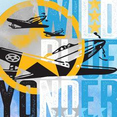 Wild Blue Yonder Planes