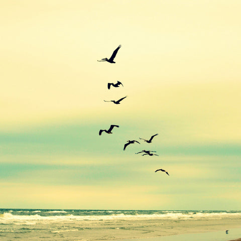 Across the Endless Sea