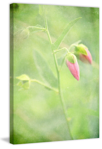 Keep Love in Your Heart