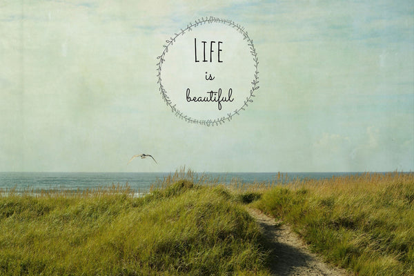 Life Is Beautiful 2 Text