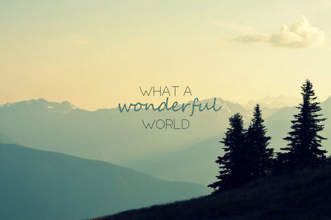 What a Wonderful World