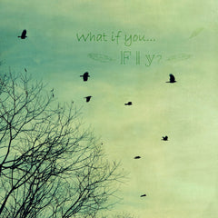 What If You Fly