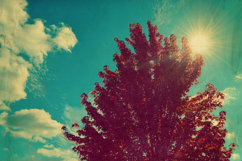 Change Is Beautiful