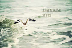 Dream Big 2