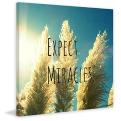 Expect Miracles Text