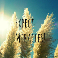 Expect Miracles Text