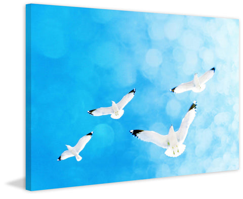 Fly Free