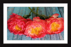 Coral Peonies