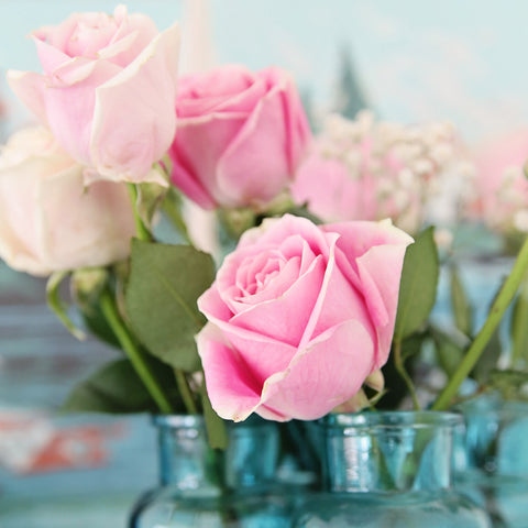 Pink Roses