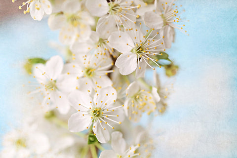 Springtime