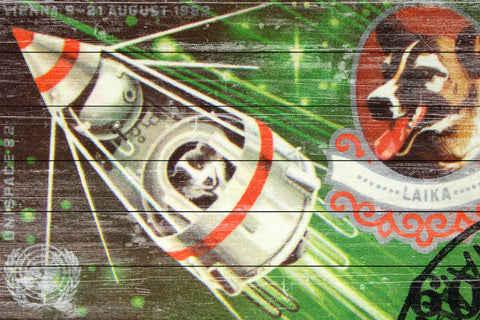 Dogs in Space