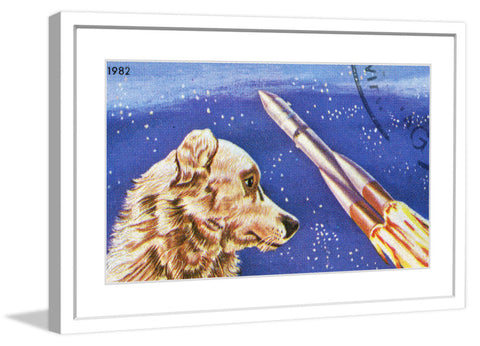 Dog Watches Takeoff