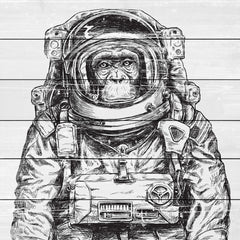 Space Monkey