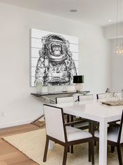 Space Monkey