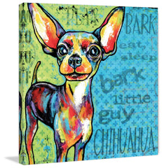 Chihuahua II