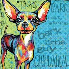 Chihuahua II