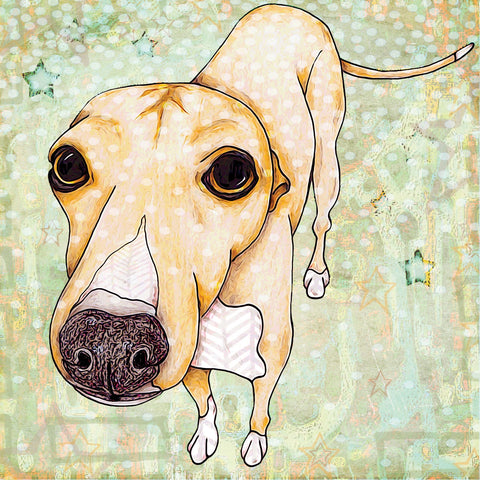 Greyhound Pop Art