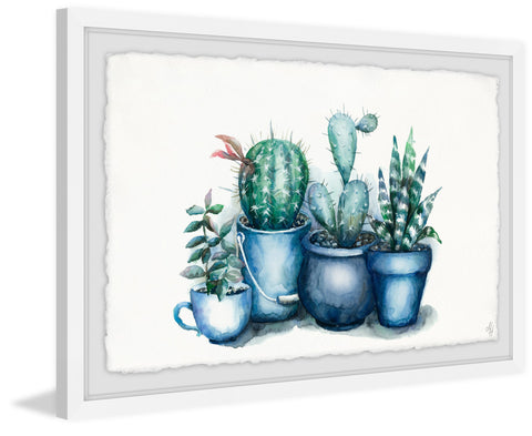 Kitchen Cacti