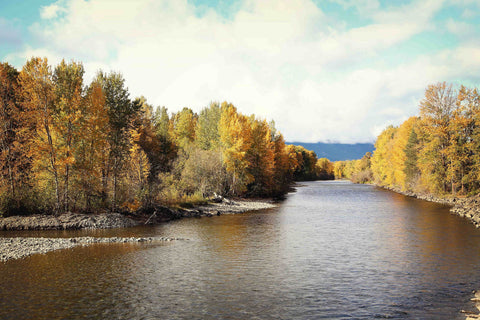 Autumn on the River