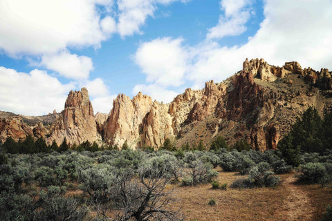 Mountains Magesty
