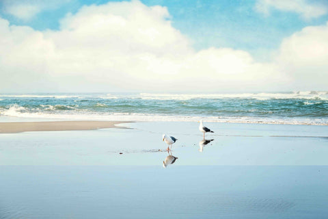 Ocean Reflections