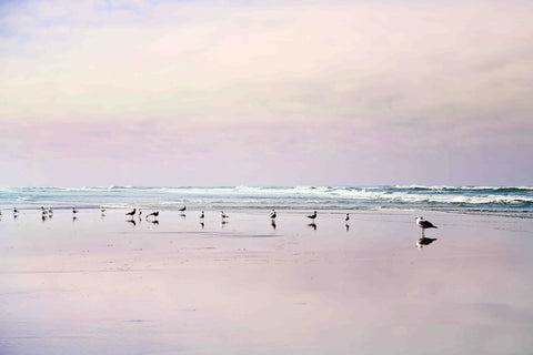Pastel Light