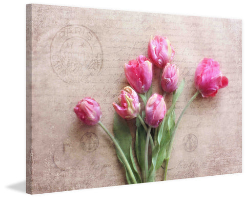 Pink Tulips
