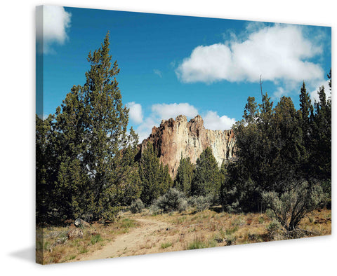 View from the Trail