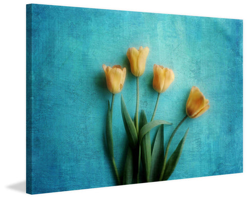 Yellow Tulips