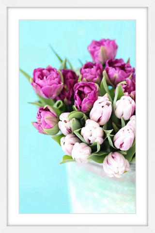Pink and Purple Tulips