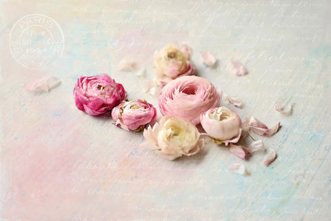 Ranunculus Petals