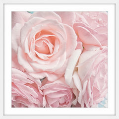 Pink Roses II
