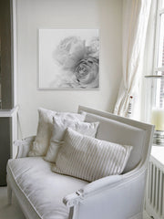 Roses II