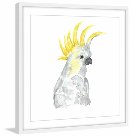 Cockatoo