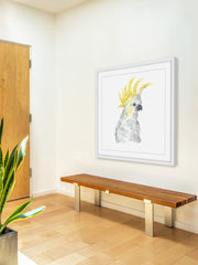 Cockatoo