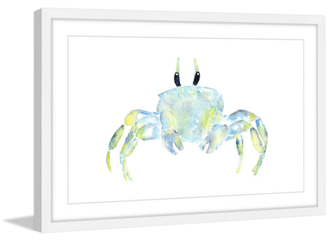 Ghost Crab