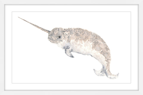 Narwhal